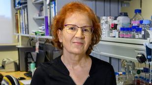 Margarita del Val: "Vamos a volver al confinamiento domiciliario estricto"