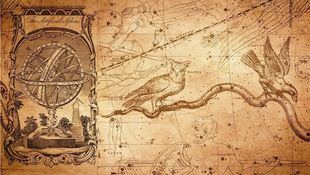 Horóscopo semanal: del 16 al 22 de noviembre