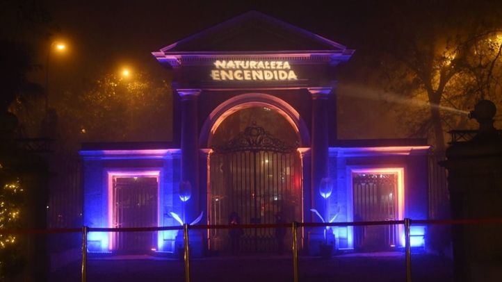 Cuando se pone el sol, florece la magia en el Botánico