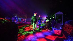 Así se viste de Navidad el Jardín Botánico