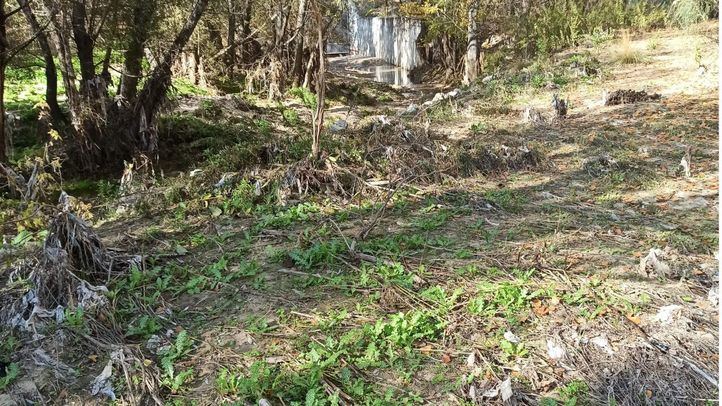 Restos de materiales en la desembocadura del Arroyo Valdebebas en el Jarama