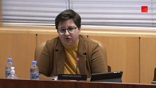 La Comunidad autorizó a dar "apoyo sanitario" a residencias a la responsable de la 'Operación Bicho' pero nunca le pagó