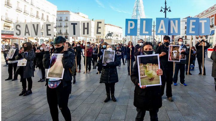 Manifestación contra el maltrato animal