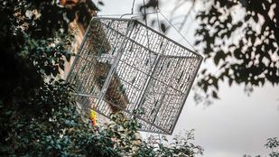 Butarque se queda sin luces de Navidad y acusa a la Junta de Villaverde de "desinterés"