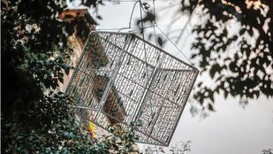 Instalación de luces de Navidad en Madrid.