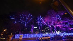 Sin salir de Madrid y fieles a los Reyes Mayos: así valoran estas navidades los madrileños