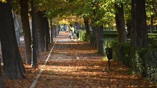El Retiro y otros ocho parques de Madrid mantendrán zonas balizadas por meteorología adversa