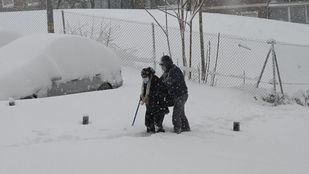 Almeida pide a los madrileños no salir de casa