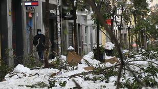 Almeida estudia solicitar la declaración de zona catastrófica para la capital