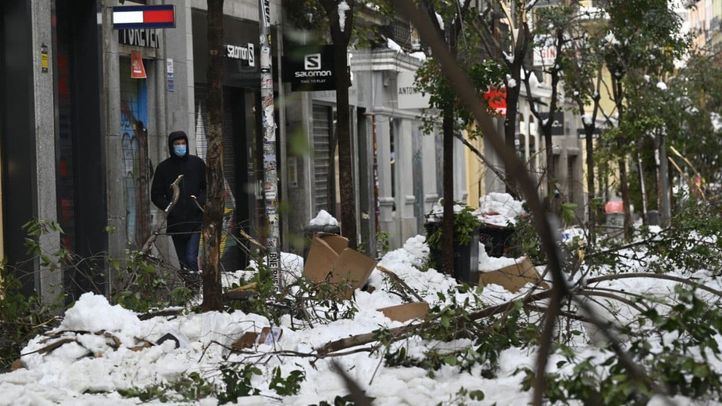 Las ramas de los árboles caídos en el centro de Madrid tras la nevada