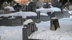 La complicada situación de Madrid condiciona la actividad de la Funeraria Municipal