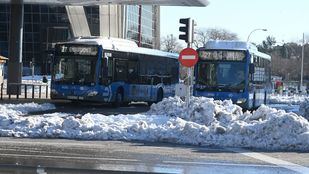 Cómo moverse por Madrid: la situación del transporte en la región