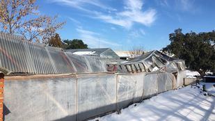 Los viveros de la Veguilla, destrozados