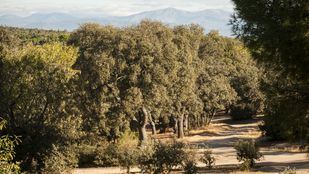 La Casa de Campo abre varios de sus accesos este jueves