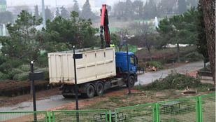 Madrid irá "ampliando" este sábado el número de espacios verdes disponibles en la ciudad