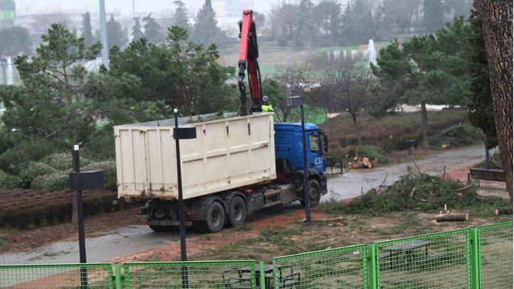 Un operario revisa uno de los parques de la capital tras el paso de la borrasca Filomena
