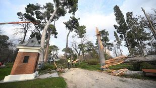 Casa de Campo tiene ya habilitadas una veintena de zonas y El Retiro dos de sus accesos abiertos