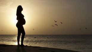 ¿Qué es la obstetricia?