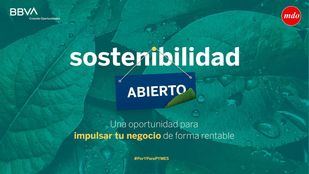 La sostenibilidad, un eje esencial en la estrategia de las empresas