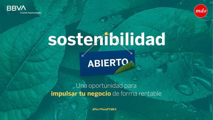 La sostenibilidad, un eje esencial en la estrategia de las empresas