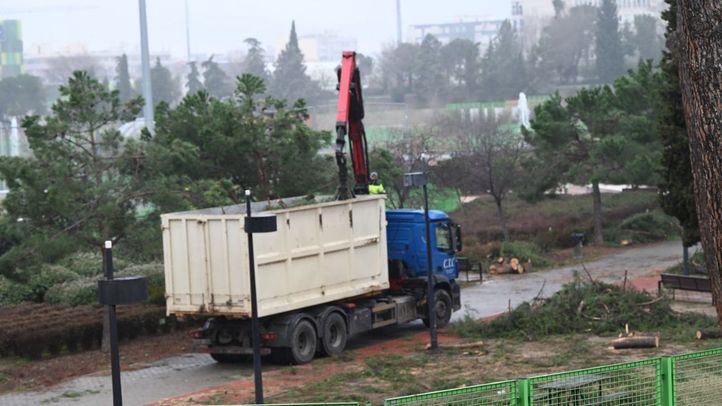 Madrid reabre de manera parcial cuatro parques tras el paso de Filomena