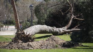 Aviso amarillo por fuertes vientos en zonas altas de la Sierra