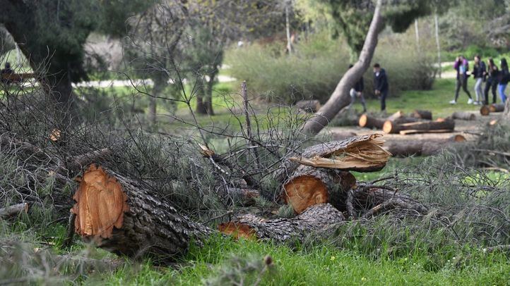 La Casa de Campo, dos meses después de Filomena