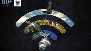 El Corte Inglés apaga las luces de sus principales fachadas para unirse a “La Hora del Planeta”