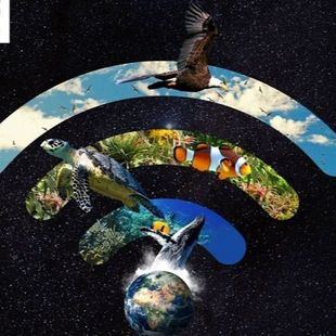 Madrid se suma este sábado al apagón por 'La Hora del Planeta'