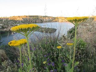 Cibeles esboza el futuro de las lagunas de Ambroz en San Blas