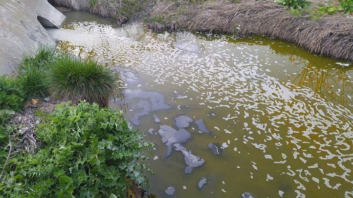 Preocupación en Perales del Río por las aguas turbias del arroyo de La Abulera