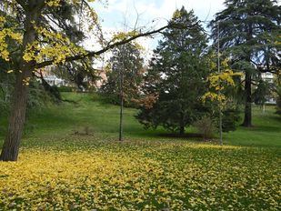 Detenidos 13 jóvenes por abusar de una menor en el Parque del Oeste