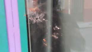 La sede del Orgullo Vallekano LGTBI vandalizada con simbología fascista y mensajes homófobos