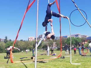 El Circo clama por el sector: "Las administraciones no están aportando todo lo que podrían"