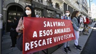 Exigen el "decomiso inmediato" de los animales que aún quedan en Vivotecnia