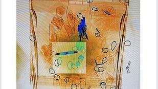 Las cartas con balas llegaron a sus destinatarios por un fallo del vigilante de seguridad