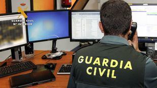 Detenido un profesor, presunto pederasta, que contactaba con menores por videoconsola