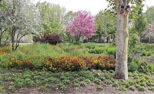 Los Jardines de la Finca Vista Alegre reabren el 1 de mayo