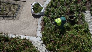 Un 69% de la población apoyaría la implantación de la jornada laboral de 32 horas