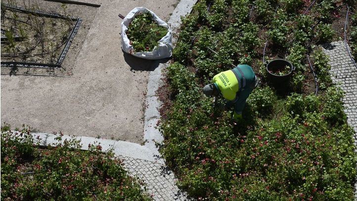 Trabajos de puesta al día de Madrid Río.