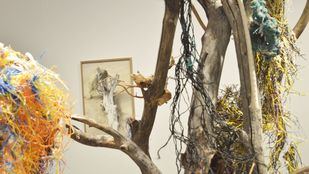 Paula Anta retrata las "estructuras enmarañadas" de la Grande-Côte senegalesa