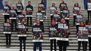 Asociaciones animalistas piden en Vistalegre que no se subvencionen festejos taurinos