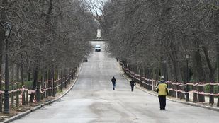 El Retiro y otros ocho parques permanecerán cerrados por fuertes rachas de viento