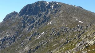 Una carrera atravesará el Parque de Guadarrama a pesar de ser la época de cría de aves: "Tendrá un impacto crítico"