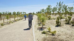 El Consistorio crea una zona semiforestal en el entorno del Wanda Metropolitano