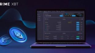 Analista de PrimeXBT: DOGE encuentra un fuerte apoyo alrededor de los 0,30 dólares