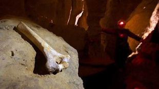 El Museo de los Neandertales se levantará en Pinilla del Valle