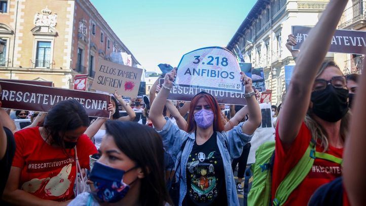Varias personas participan en una manifestación para exigir el rescate de los animales de Laboratorios Vivotecnia