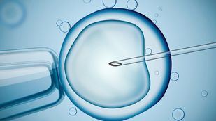 La ayuda Merck de Investigación Clínica en Fertilidad 2021 apuesta por la importancia de los exosomas endometriales