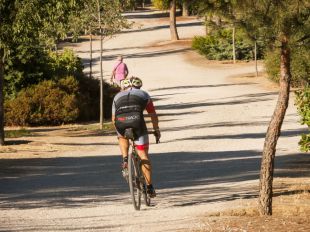 Multiples actividades para celebrar el Día del Medio Ambiente en Madrid